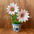 White and Pink Gerbera Daisy Small Mini Cute Clay Flower Hand Sculpted