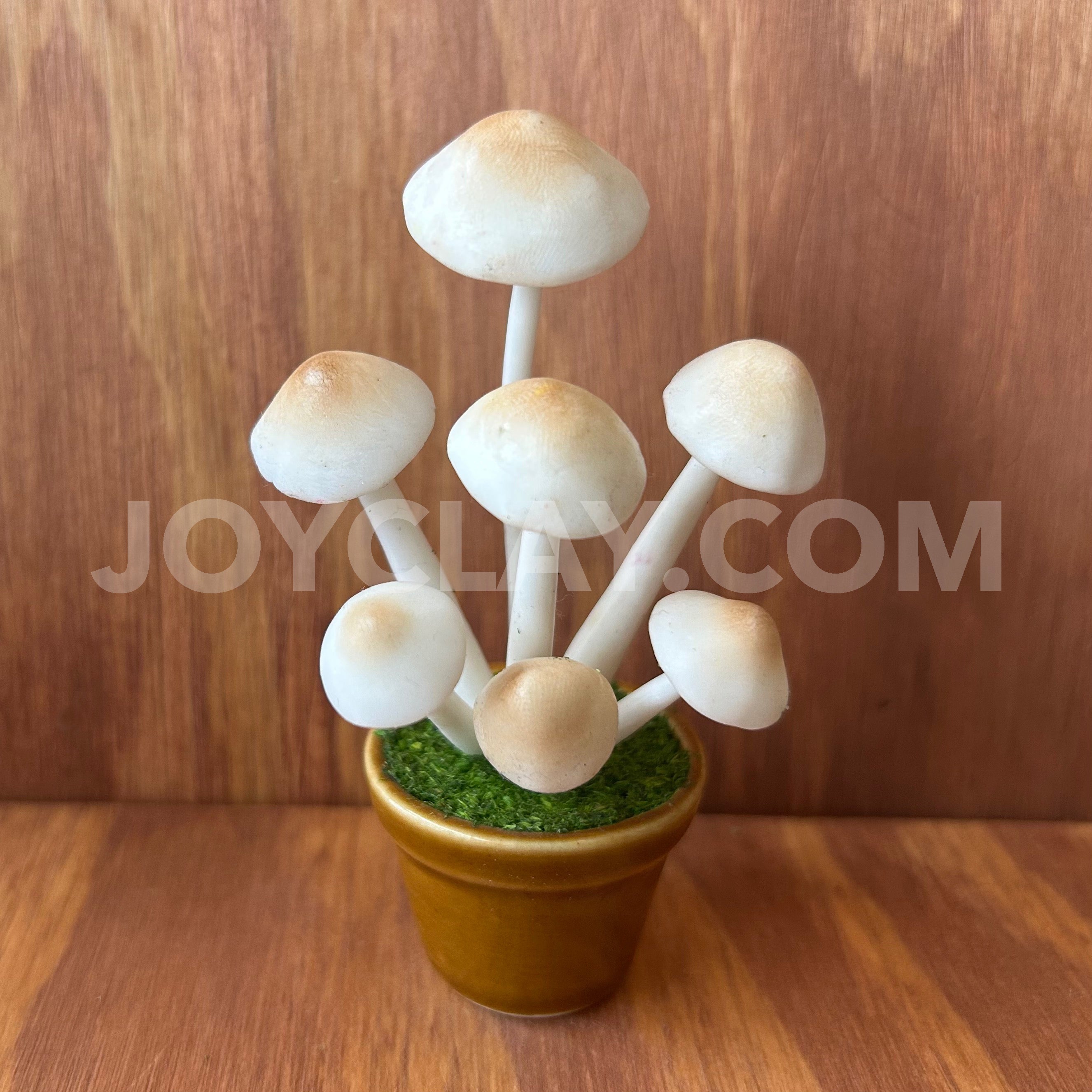 Mushrooms in Pot Small Mini Cute Clay Flower Hand Sculpted