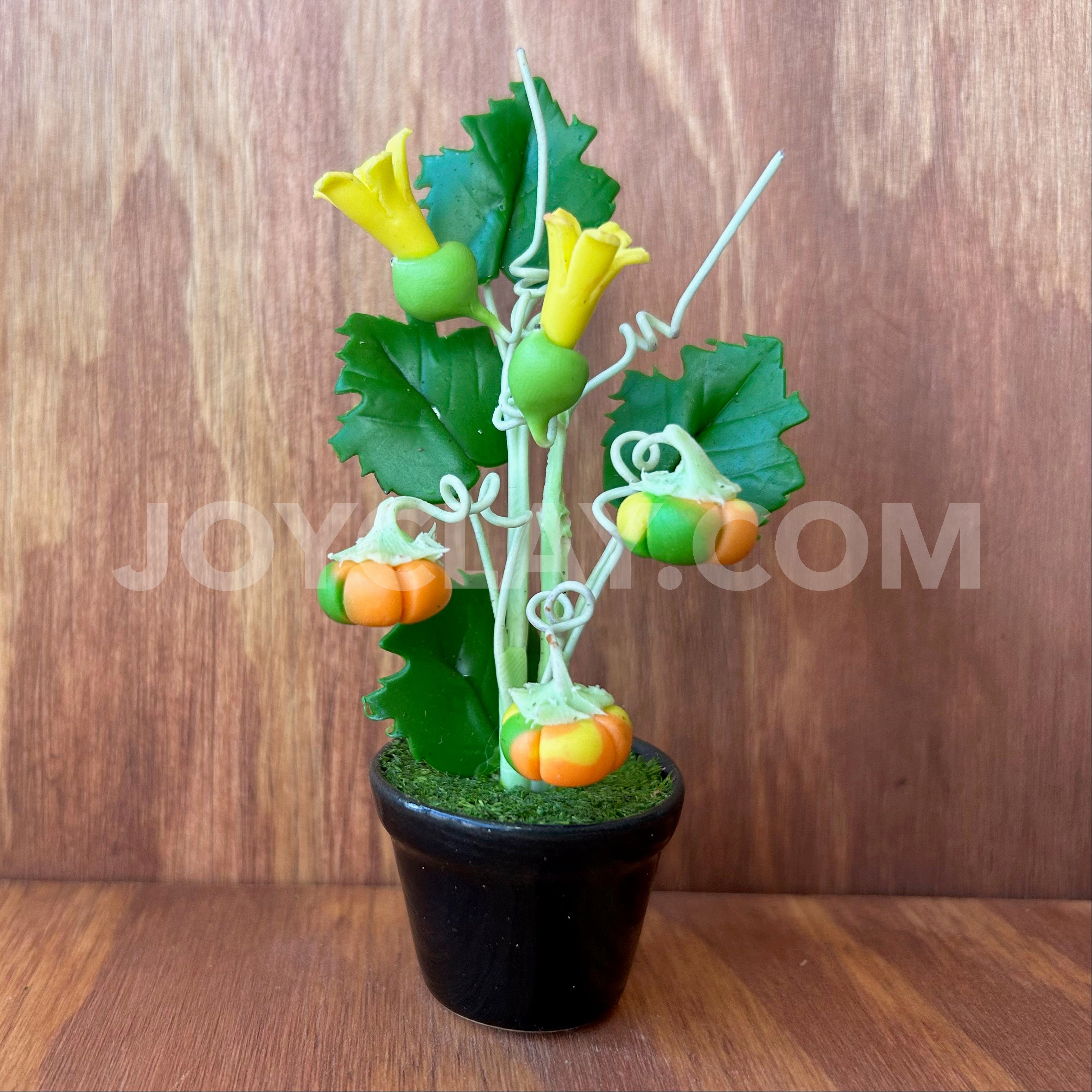 Pumpkin Plant in Pot Small Mini Cute Clay Flower Hand Sculpted