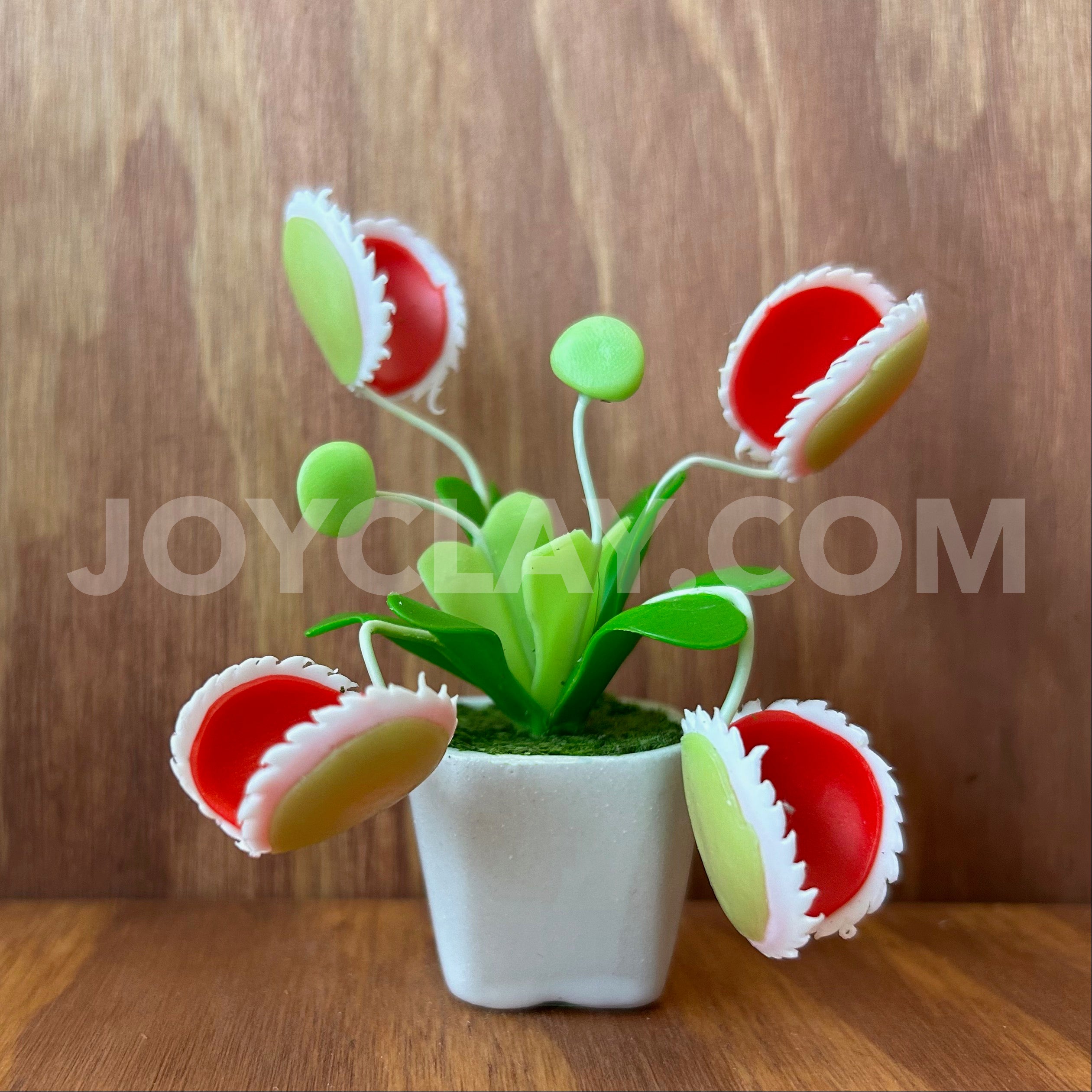 Venus Flytrap Small Mini Cute Clay Flower Hand Sculpted